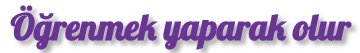 öğrenmek